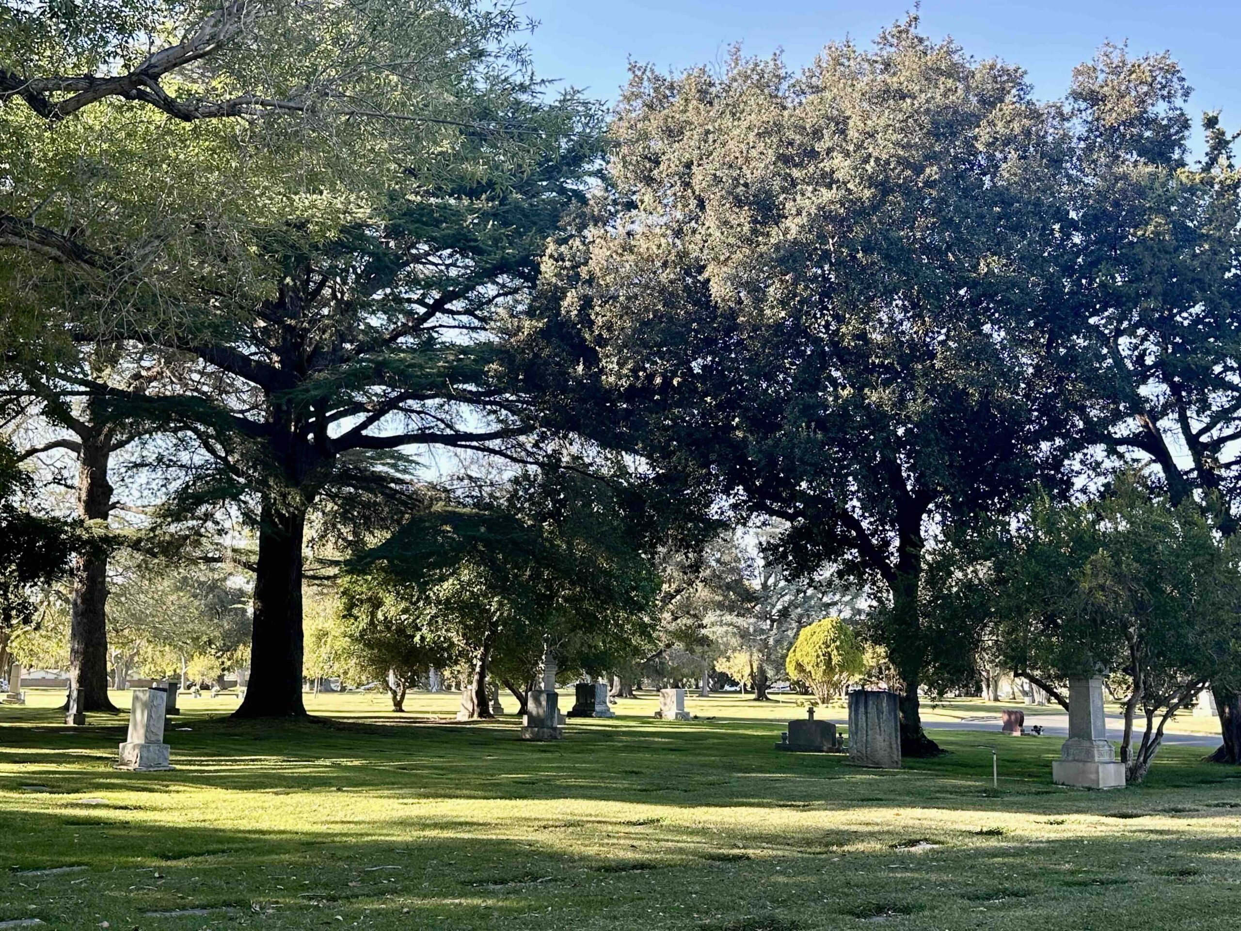Grave space in Lawn AX