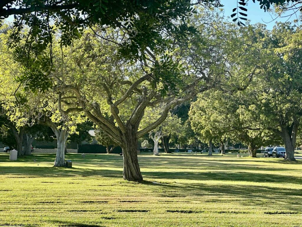 Fairhaven Memorial Park Cemetery View-Bayer Cemetery Brokers