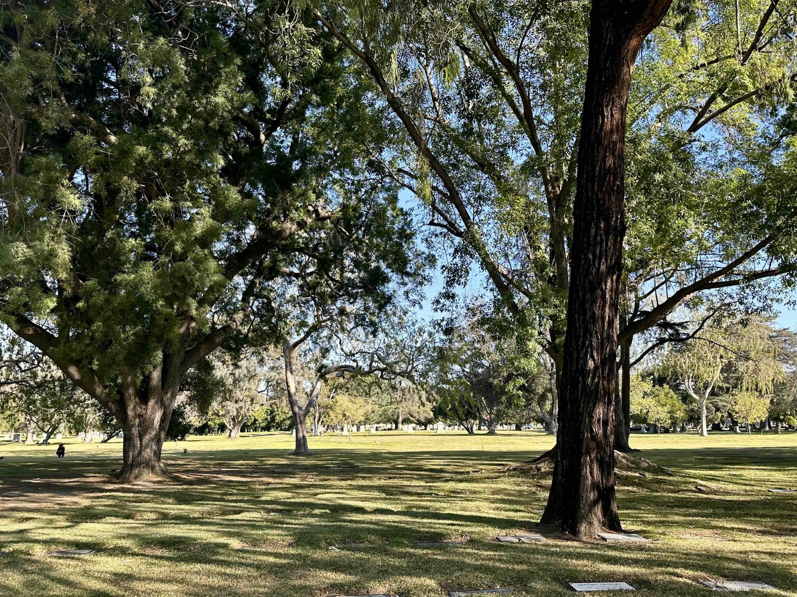 Grave space in Lawn AX