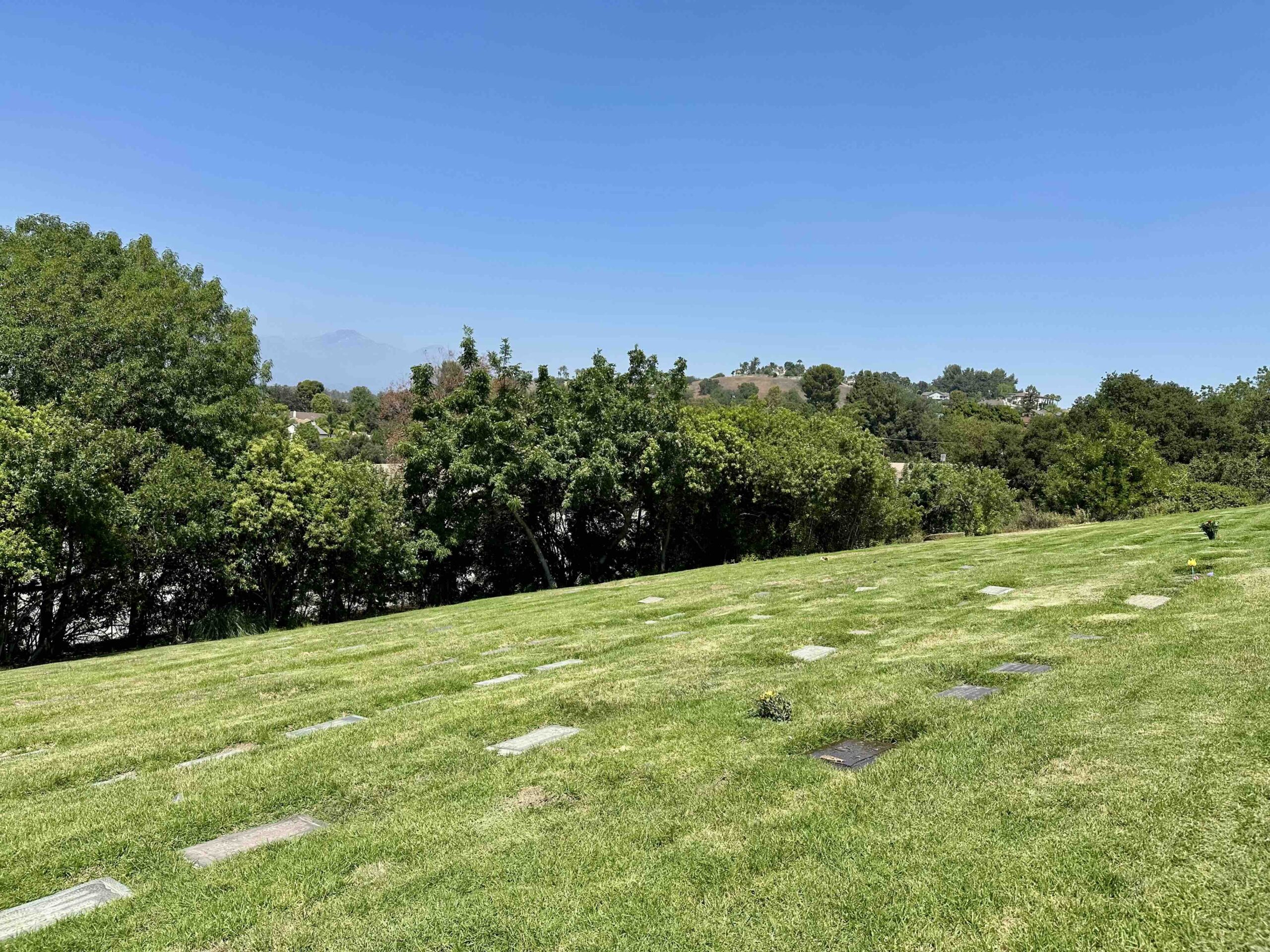 Grave space in Serenity
