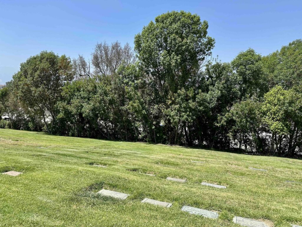 View across Serenity lawn looking North at Forest Lawn Memorial Park Covina - Bayer Cemetery Brokers