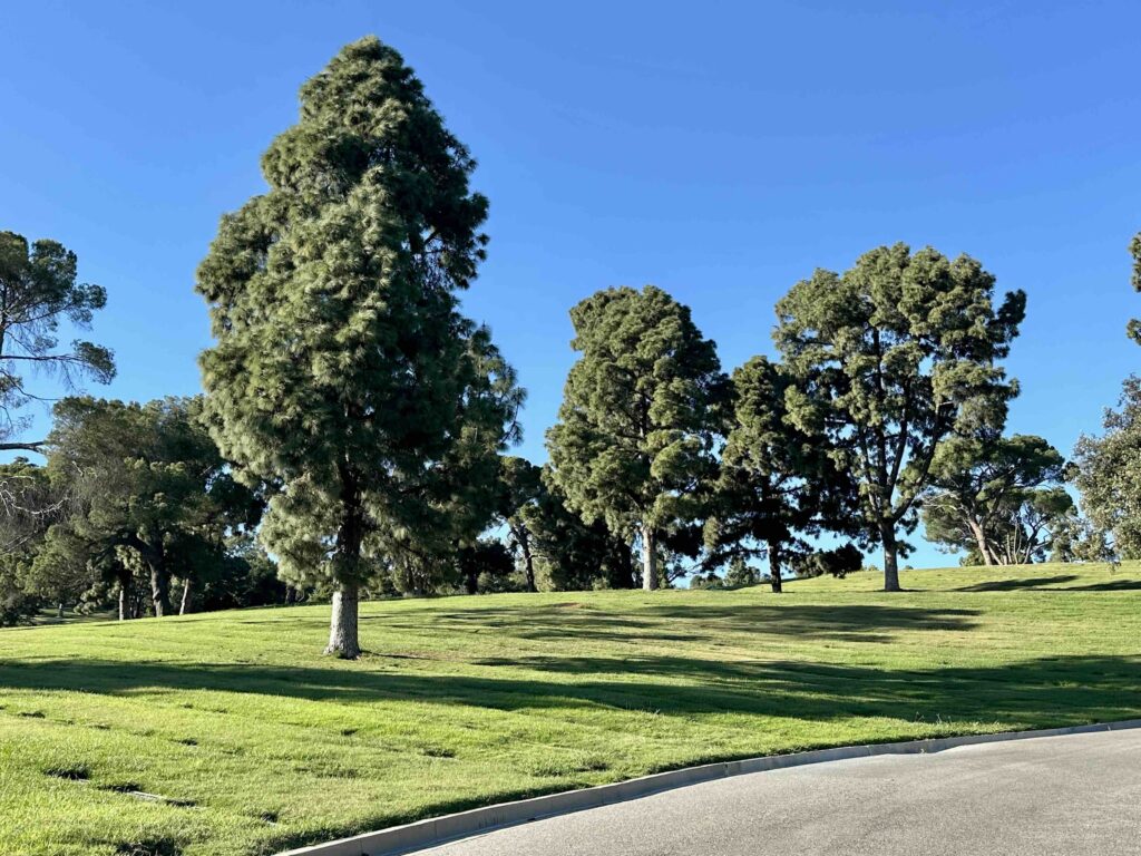 View across beautiful Sunrise Slope at Forest Lawn Memorial Park Glendale - Bayer Cemetery Brokers
