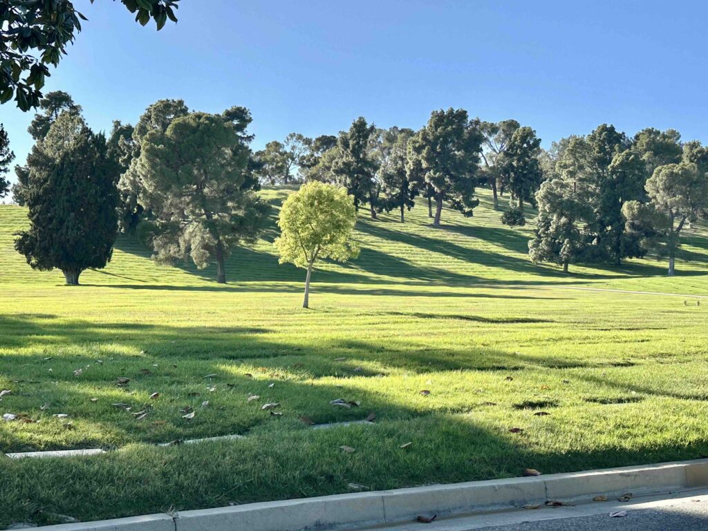 View of Vale of Memory with pretty trees and grass at Forest Lawn Memorial Park Glendale - Bayer Cemetery Brokers