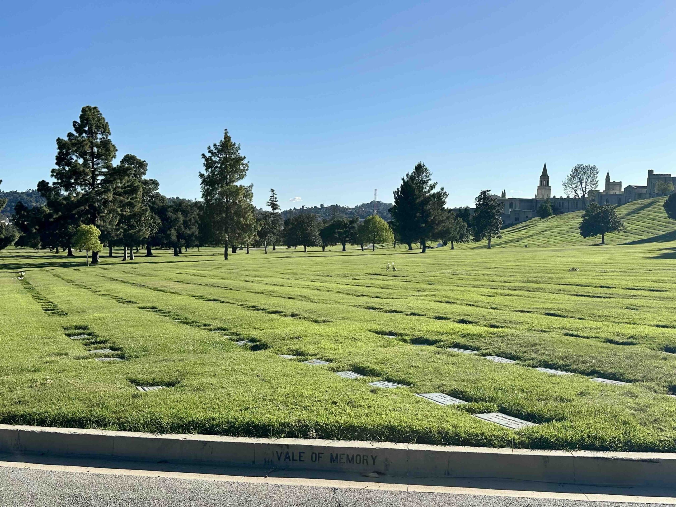 Pair of side by side grave spaces in Vale of Memory