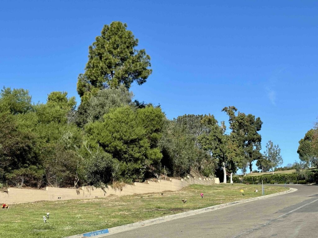 View of Garden of Love Section B at El Camino Memorial Park in San Diego - Bayer Cemetery Brokers