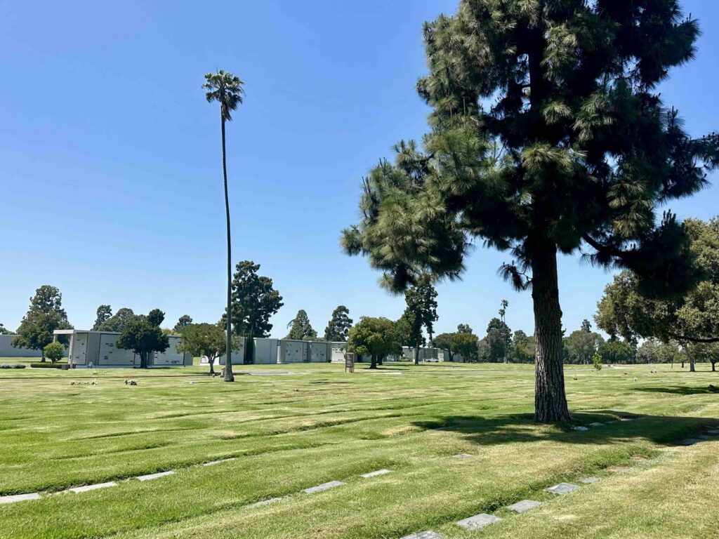View across Sycamore section showing lush grass, trees, palms and pristine lawn- Bayer Cemetery Brokers