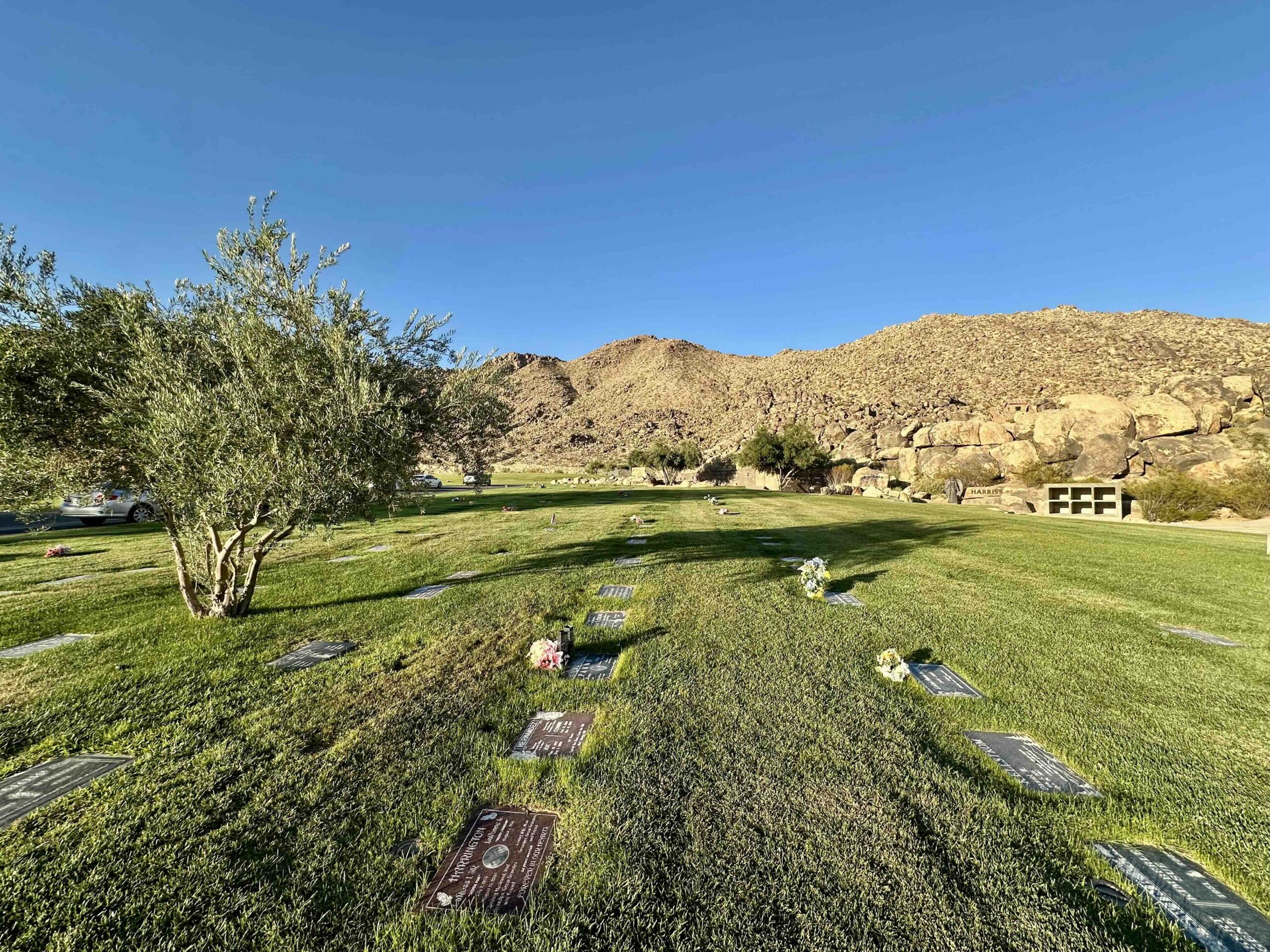 Double grave in Eternal Rocks